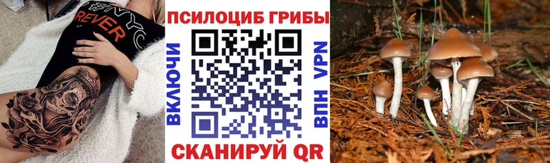 Галлюциногенные грибы прущие грибы  Колпашево 